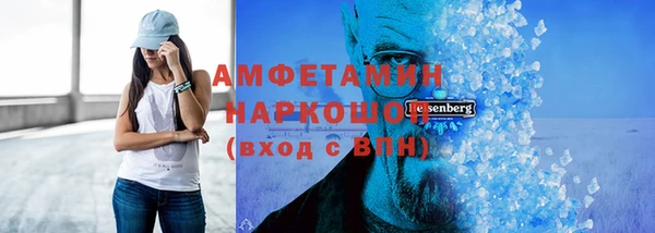индика Абаза
