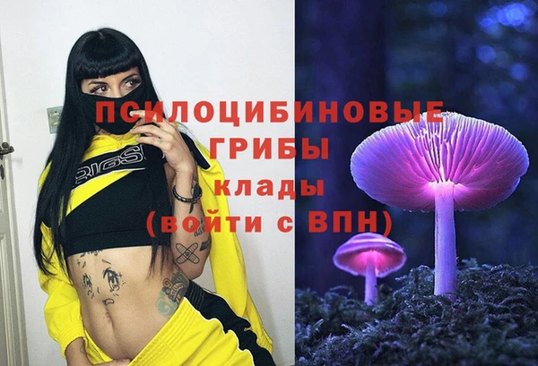 индика Абаза