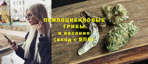 индика Абаза