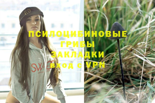 хмурый Абинск