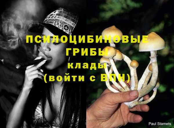индика Абаза
