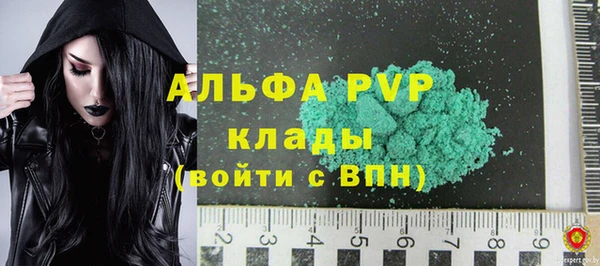 индика Абаза