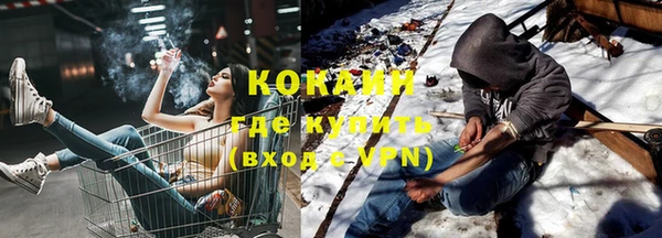 ешки Горняк