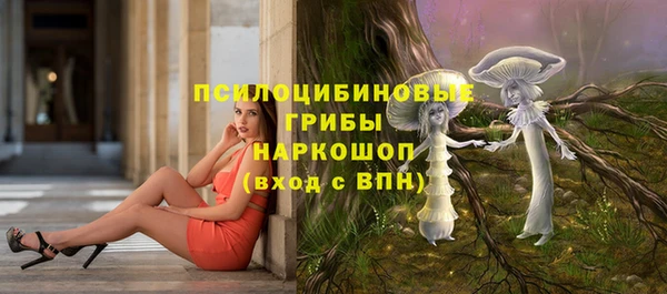 индика Абаза