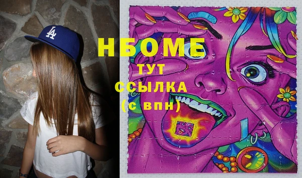 индика Абаза