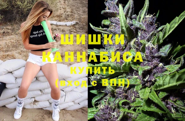 индика Абаза