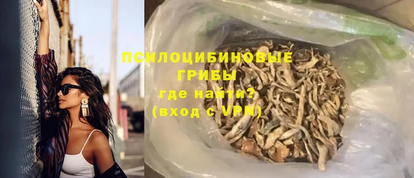 индика Абаза