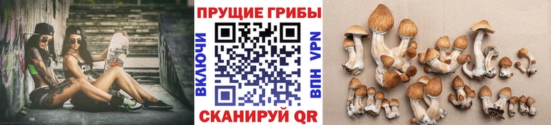 Галлюциногенные грибы Psilocybine cubensis Уфа