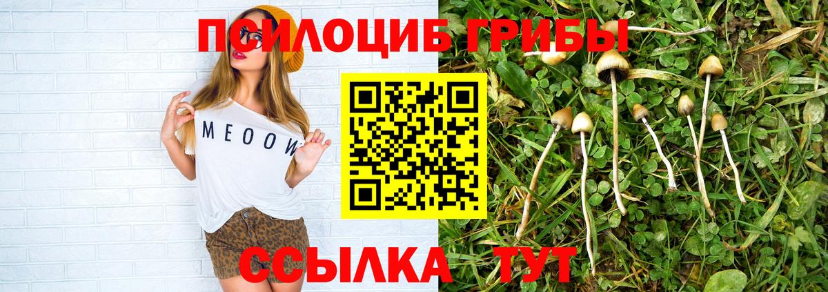 Уфа  где можно купить наркотик  Галлюциногенные грибы GOLDEN TEACHER  Вход с VPN  Галлюциногенные грибы Psilocybe 